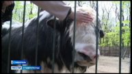 Парк Победы в Ставрополе открывает сезон