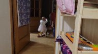 Злата на самокатике