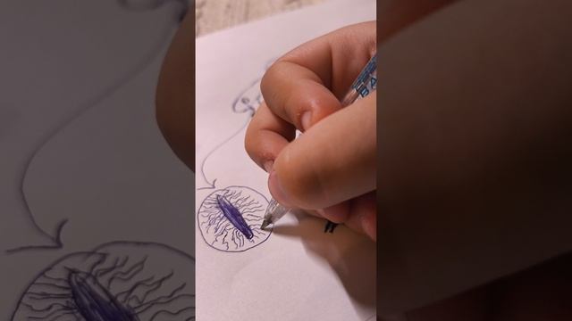 рисуем в месте с кусей-кисек!