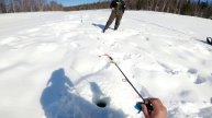 Очень слабая рыбалка.