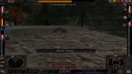 Wizardry 8 - Ч52 - В лепёшку.