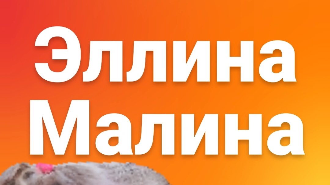 Эля кормит карпов