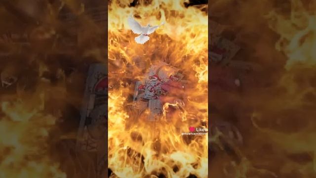 1000192836.mp4