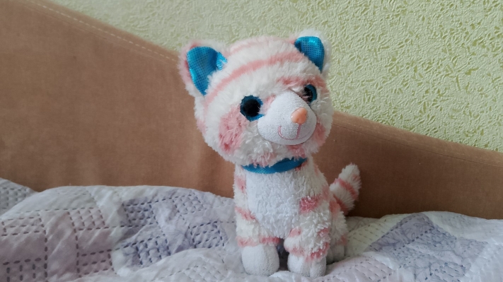 играю в новую игру