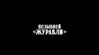 Онлайн фильмы бесплатно позывной журавли