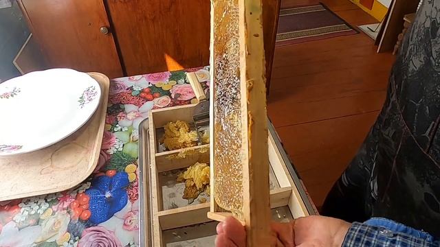 Пчелиный забрус ценнейший продукт пчеловодства #пчёлы #пасека