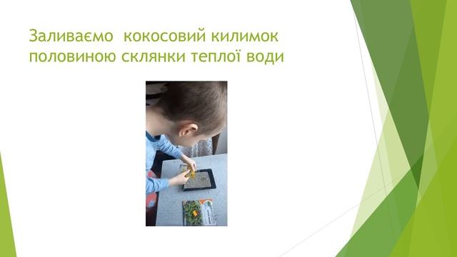 "Хазяйновита Флора" Мікрогрін.wmv