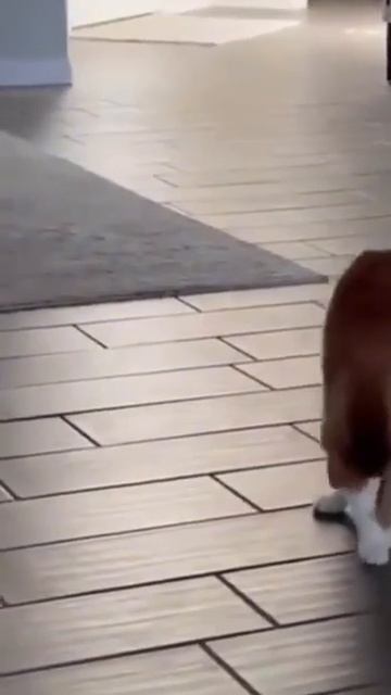 Доброе утро
