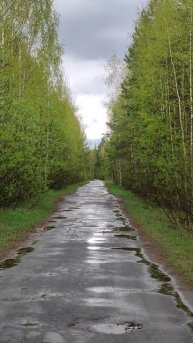 Лесная дорожка