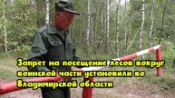 Запрет на посещение лесов вокруг воинской части установили во Владимирской области