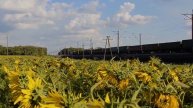 Електровоз ВЛ8-1234 постоянного тока с грузовым по линий тимково - кривой рог