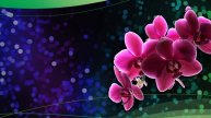 Короткие и красивые поздравления для самых близких! _4