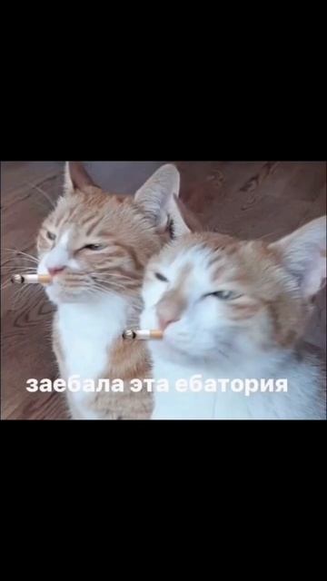 То чем я занимаюсь, очень интересно!