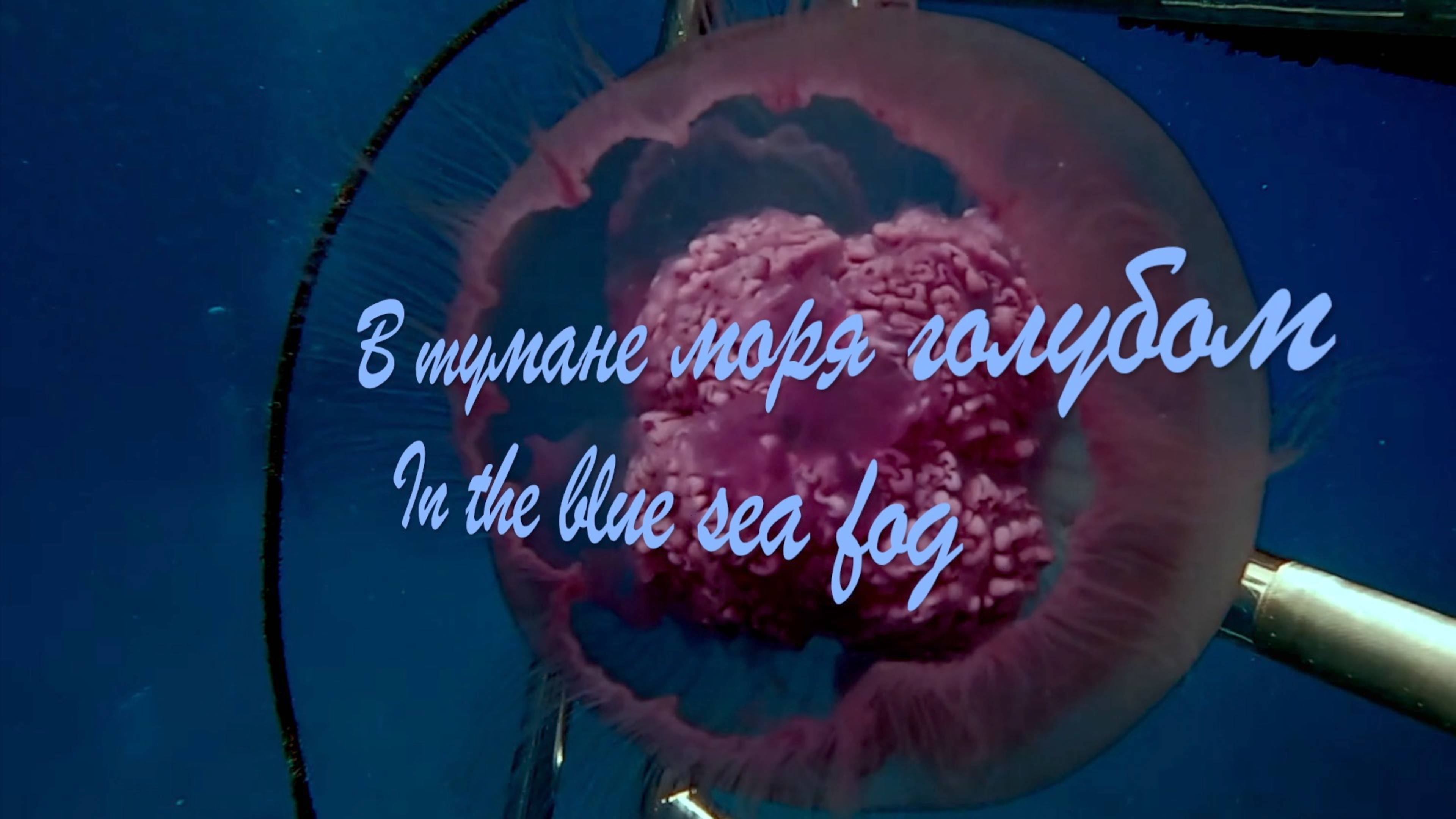 В тумане моря голубом