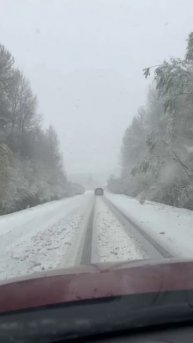 Первомайский снегопад накрыл сразу несколько областей — Московскую, Тверскую и Ярославскую.