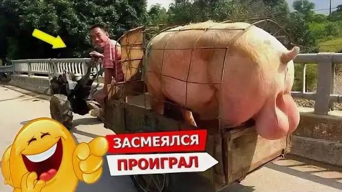 Я РЖАЛ ДО СЛЕЗ 😂 5 Минут ОТБОРНЫХ приколов 2025 Смешные видео - Лучшие ПРИКОЛЫ
