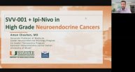 SVV-001 + Ipi-Nivo in Patients With Poorly Differentiated NEC or Well-Differentiated High-Grade NET