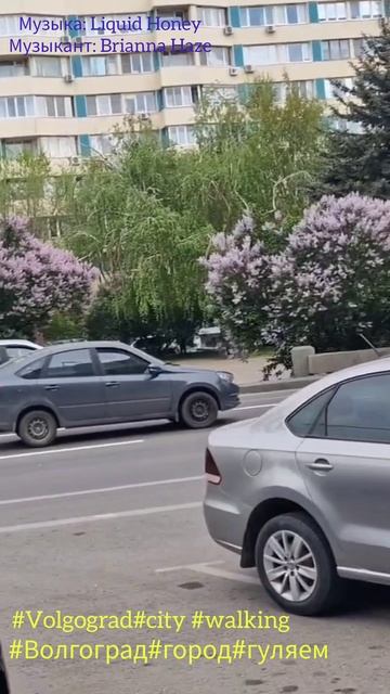 #Волгоград#город#гуляем#Volgograd#city #walking.