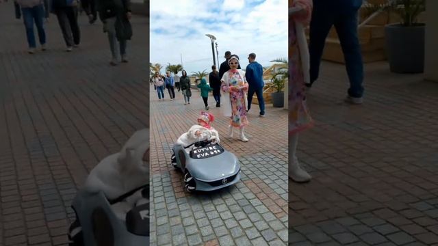 ЗВЕЗДЫ В СОЧИ $$$