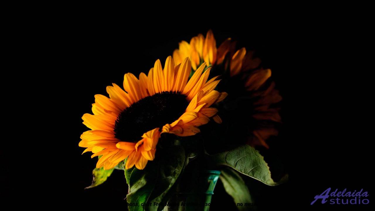 ✸ ♫ ❤ Песня, которая поднимает с колен - Symphony of Legends -- butterflystudio -- Unnamed album.mp4