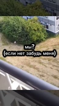 Мы?