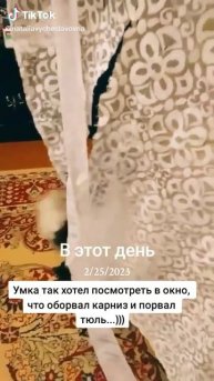 Квартирант...)))