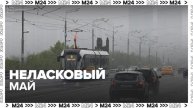 Синоптики спрогнозировали ливень и грозы 1 мая - Москва 24
