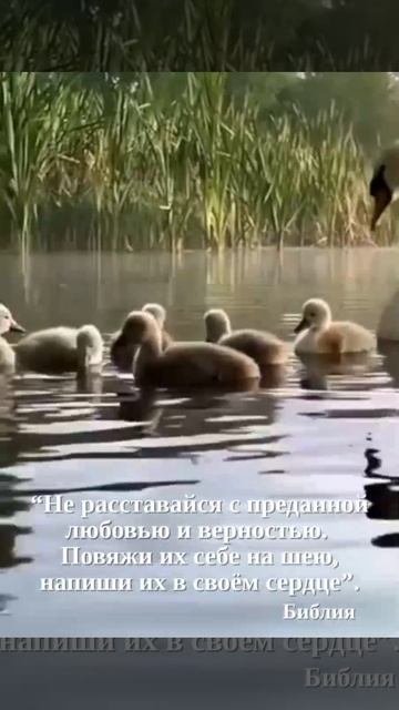 IMG_20250430_191051_589.mp4