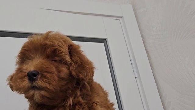 1000385899.mp4