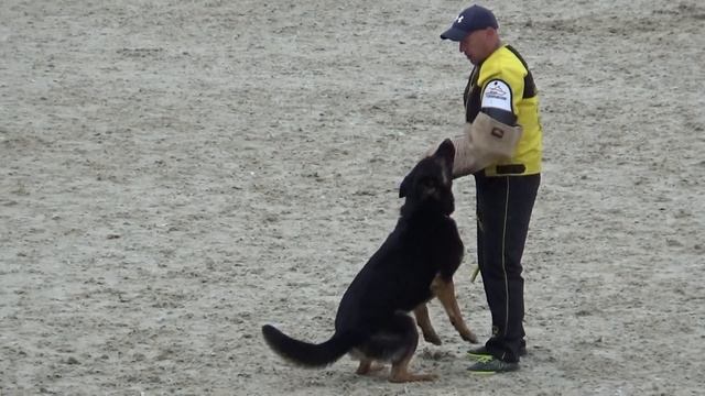 2023 IGP CACT Russia Василий Козырев и FRAIDENREICH HARD ROCK (GSD) C dis