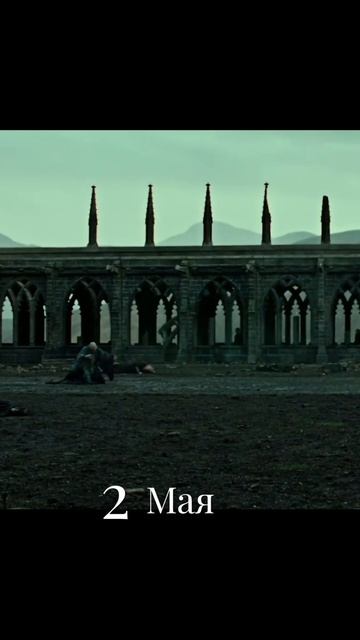 День Гарри Поттера #ГарриПоттер #Shorts #КнигиГП