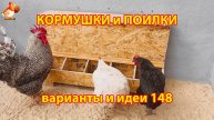 Кормушки и поилки для кур своими руками (148) 🪚✂️ Пошаговая инструкция как сделать 🐔 🐓❣️