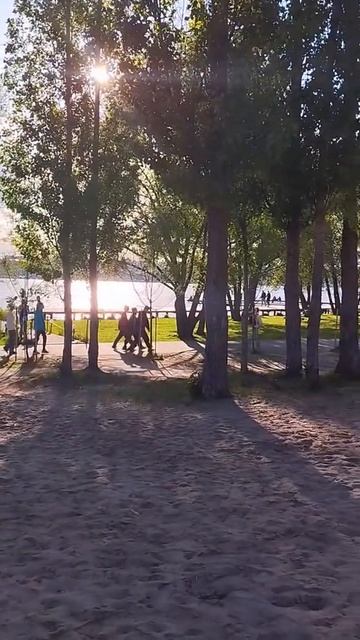 Весна в парке Дельфин 2025 🌸