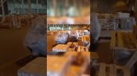 Отгрузка трициклов в регионы Мотоэвакуатор Тимофей - Ваш надёжный партнёр #auto #трицикл