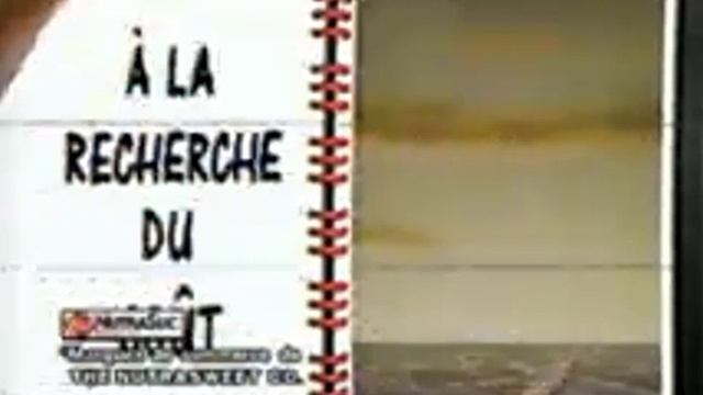 Pub Québec - Coke Diète avec Obélix (1990)