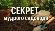 Секрет мудрого садовода
