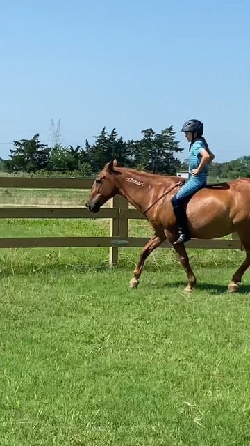 Bridleless on a Mustang! #mustanghorse #liberty