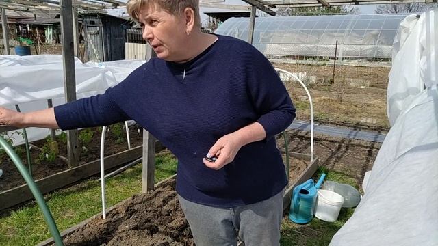 Ранняя высадка томатов. Способы укрытия. Часть 1.