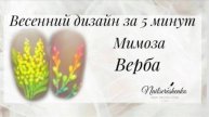 Мимоза, верба на ногтях