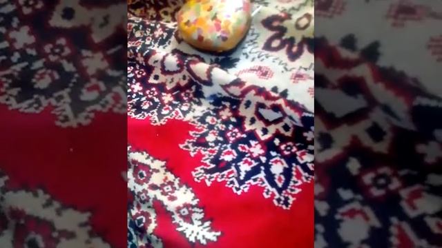 Мои запасы конфет