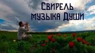 Встречая Грозу / Флейта Свирель и Цветочные Луга Ставрополья