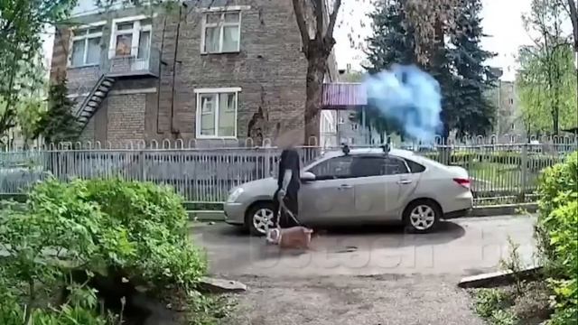 В Уфе мужчина в темных очках и с бойцовской собакой, проходя мимо бездомной собаки, выстрелил в е...