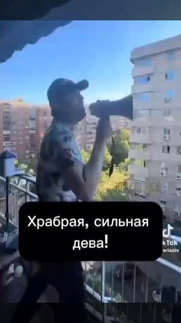 Испанцы ! Путин нам свет отключил.
