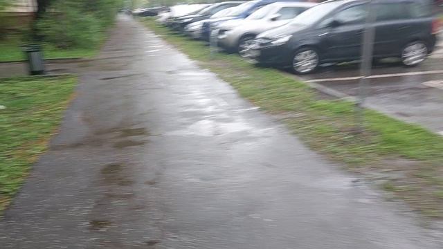 1 мая Москва Дождь
