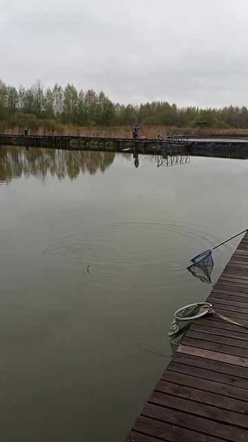 ,, Рыбалка в Рыбном