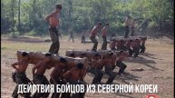 Действия бойцов союзников