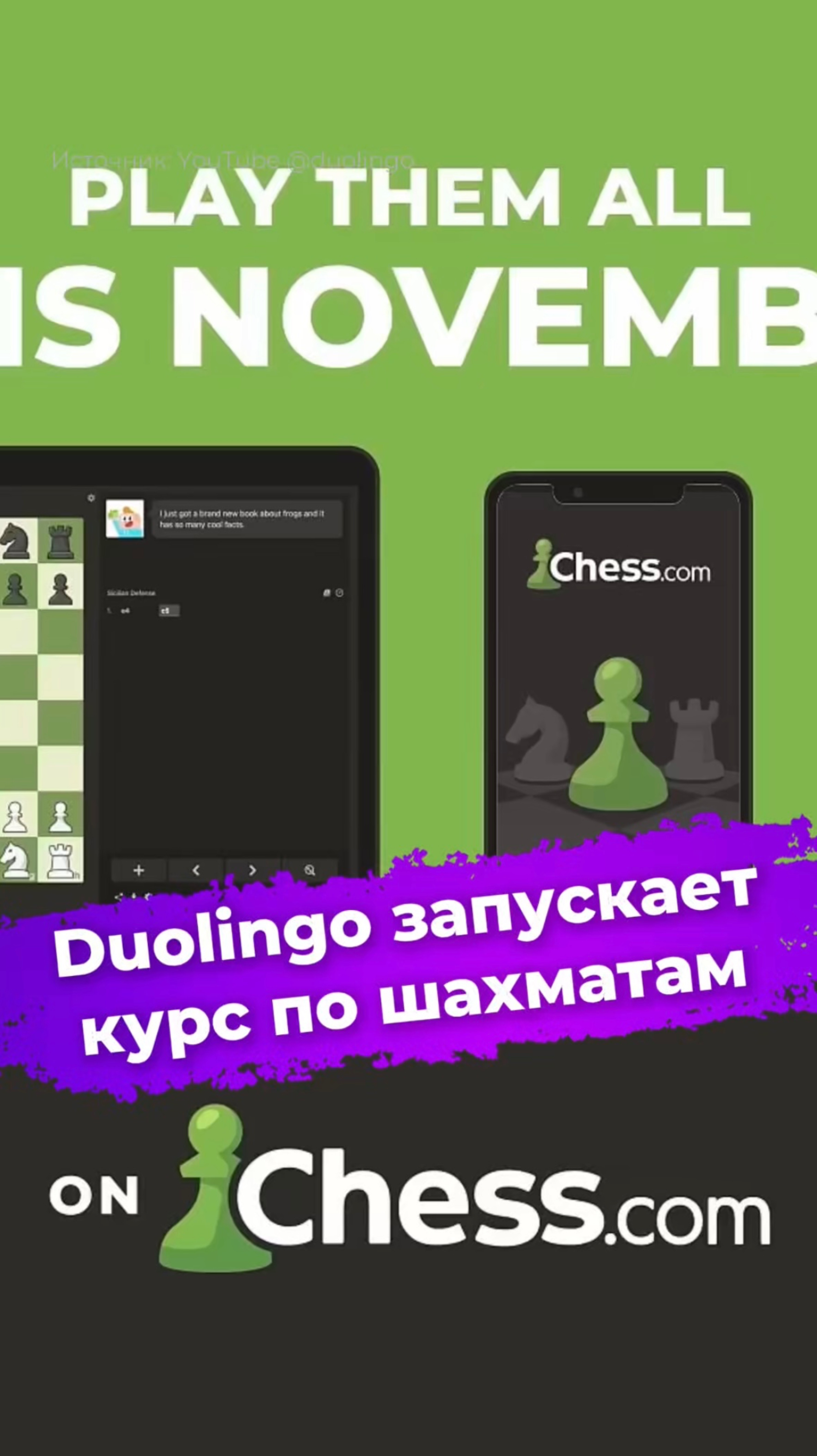 Duolingo запускает курс по шахматам #duolingo #шахматы #курс #новости #ixbt
