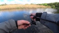 Карась Щука Лещ и Другие на Спиннинг Микроджиг Поймал Пять Видов Рыб за Одну Рыбалку