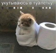 АПАЮ ЧЕМПИОНА