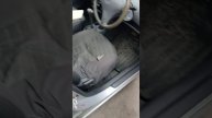 1000011869.mp4